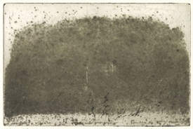 BJØRN KROMANN-ANDERSEN – Kragekrat
