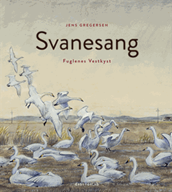 Jens Gregersen - Svanesang, Fuglenes Vestkyst