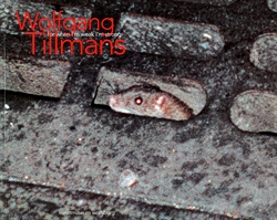Wolfgang Tillmans - for when I'm weak I'm strong