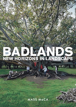 BADLANDS - New Horizons in Landscape